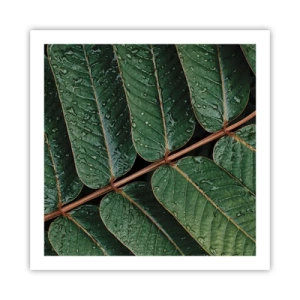 Poster - Im grünen Rhythmus - 60x60 cm