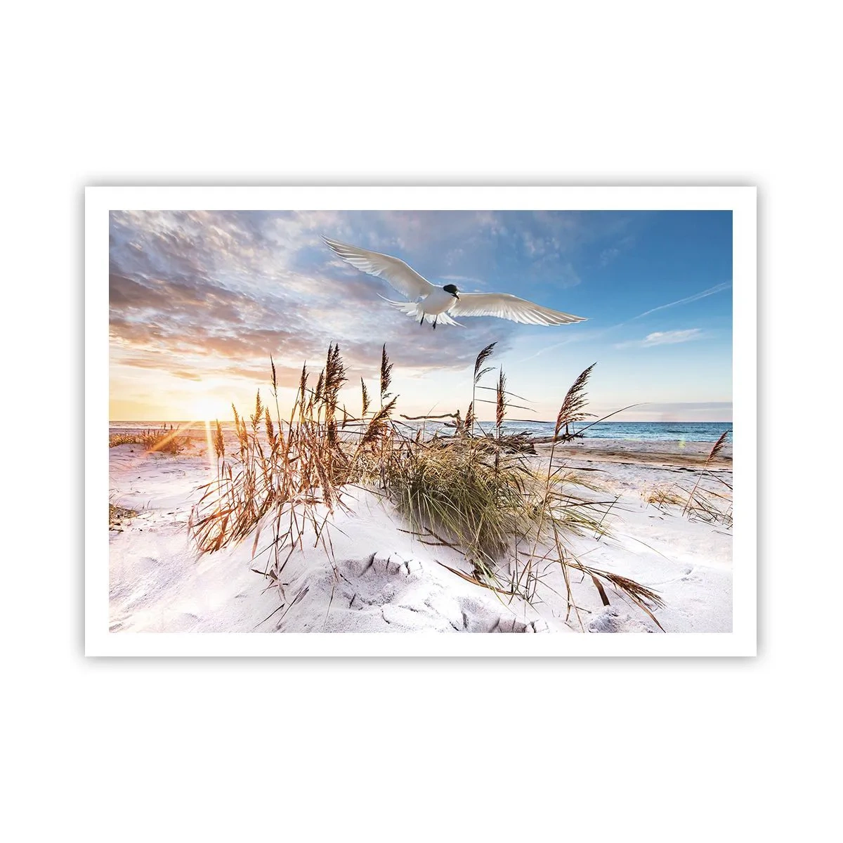 Poster - Strand mit fliegenden Möwen bei Sonnenuntergang - 100x70cm - Wind vom Meer - Moderne Wanddekoration für Wohnzimmer und Schlafzimmer ARTTOR