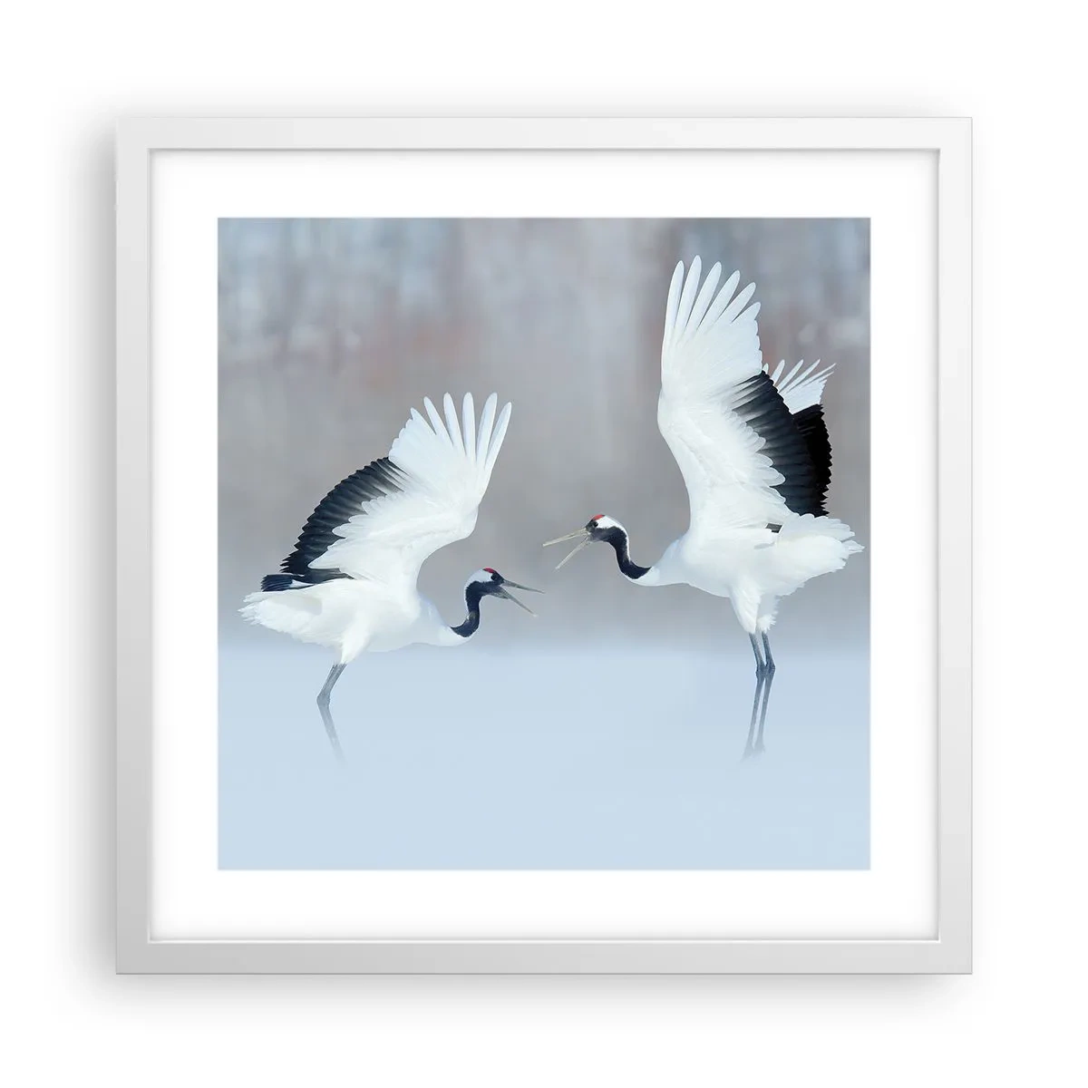 Poster in einem weißen Rahmen - Tanz im Nebel - 40x40 cm