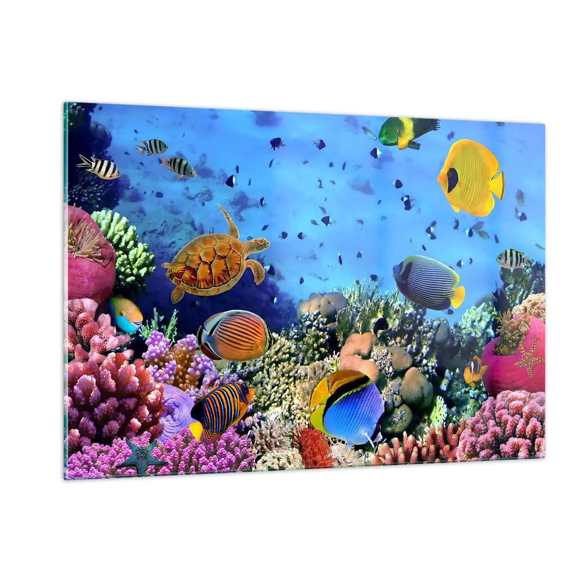 Glasbild - Bild auf glas - Bunte Fische und eine Meeresschildkröte vor einem Korallenriff - 120x80cm - Und was wissen wir über das Leben ... - Moderne Wanddekoration für Wohnzimmer und Schlafzimmer ARTTOR