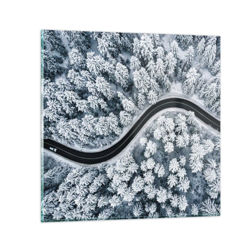 Glasbild - Bild auf glas - Durch den Winterwald - 40x40 cm