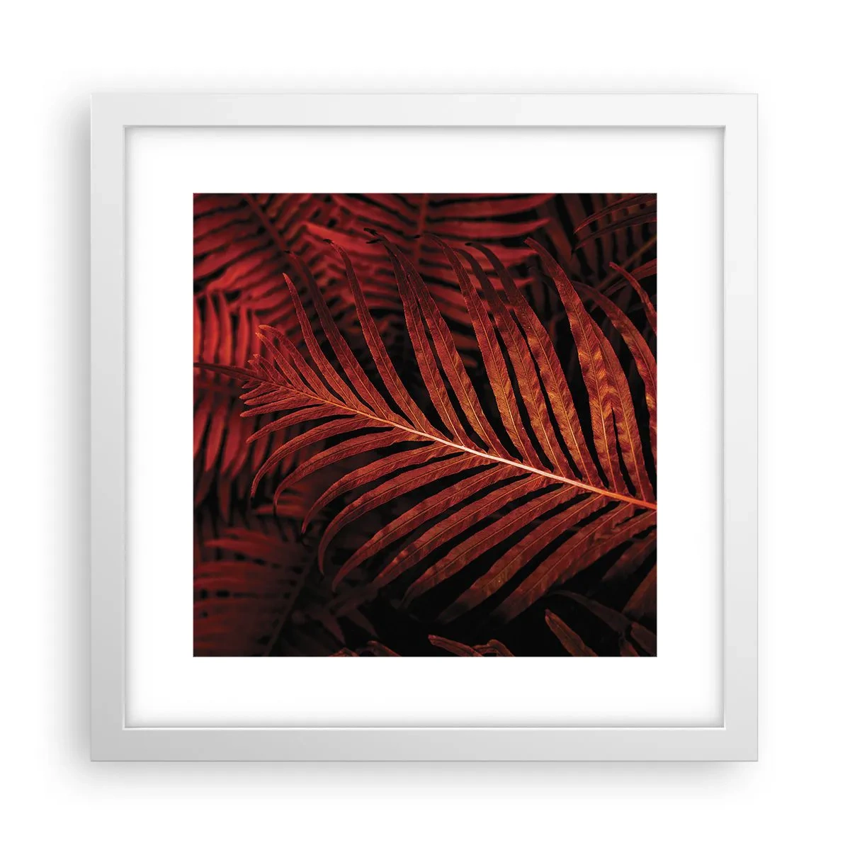 Poster in einem weißen Rahmen - Die Hitze des Lebens - 30x30 cm