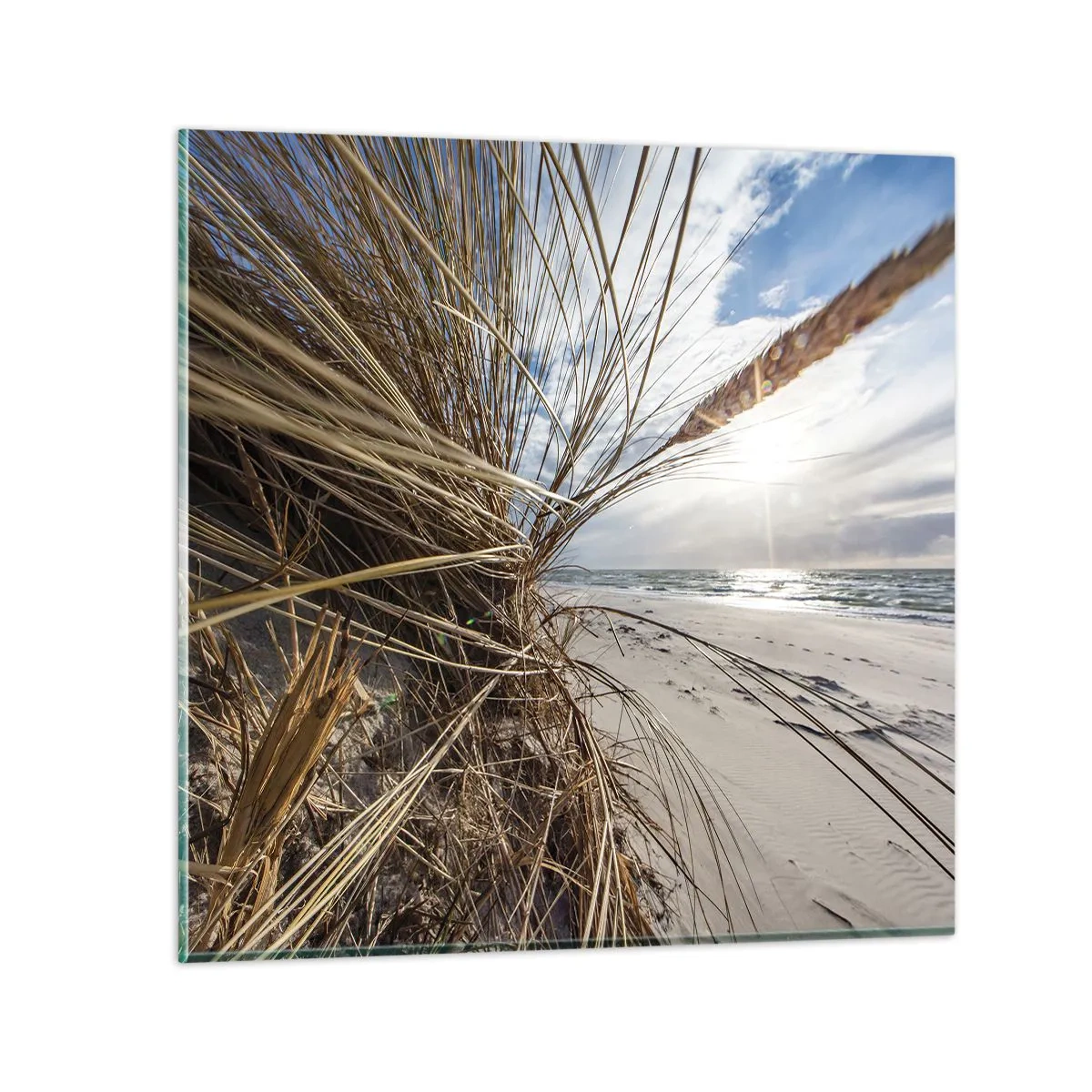 Glasbild - Bild auf glas - Ein Treffen der Elemente der Natur - 60x60 cm