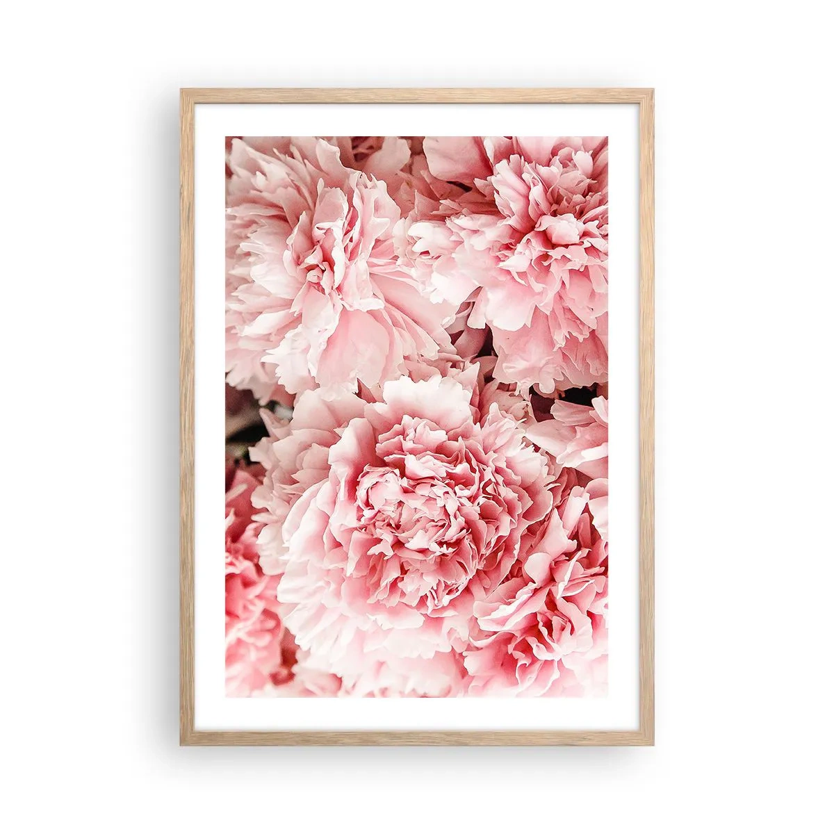 Poster in einem Rahmen aus heller Eiche - Rosa Traum - 50x70 cm