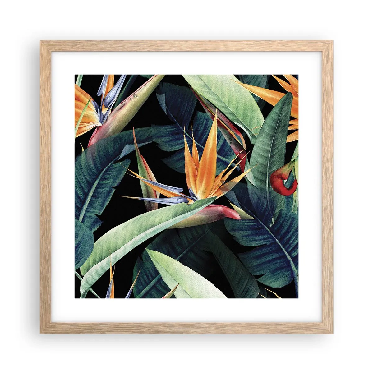 Poster in einem Rahmen aus heller Eiche - Flammende Blumen der Tropen - 40x40 cm