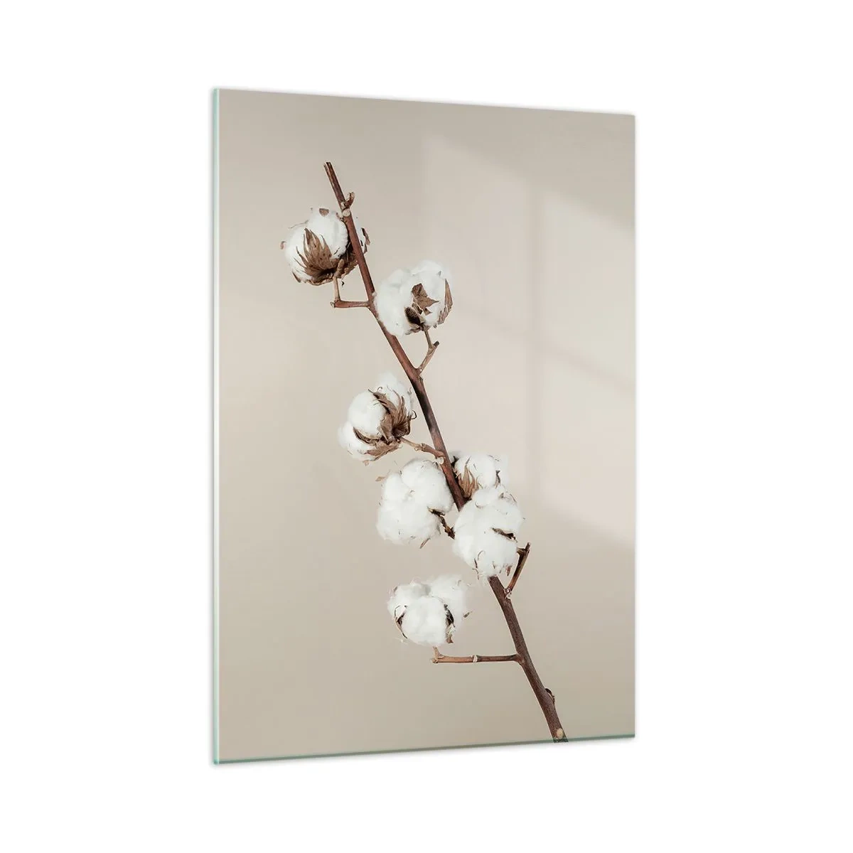 Glasbild - Bild auf glas - Ein Baumwollzweig auf hellem, minimalistischem Hintergrund - 50x70cm - An der Quelle der Weichheit - Moderne Wanddekoration für Wohnzimmer und Schlafzimmer ARTTOR