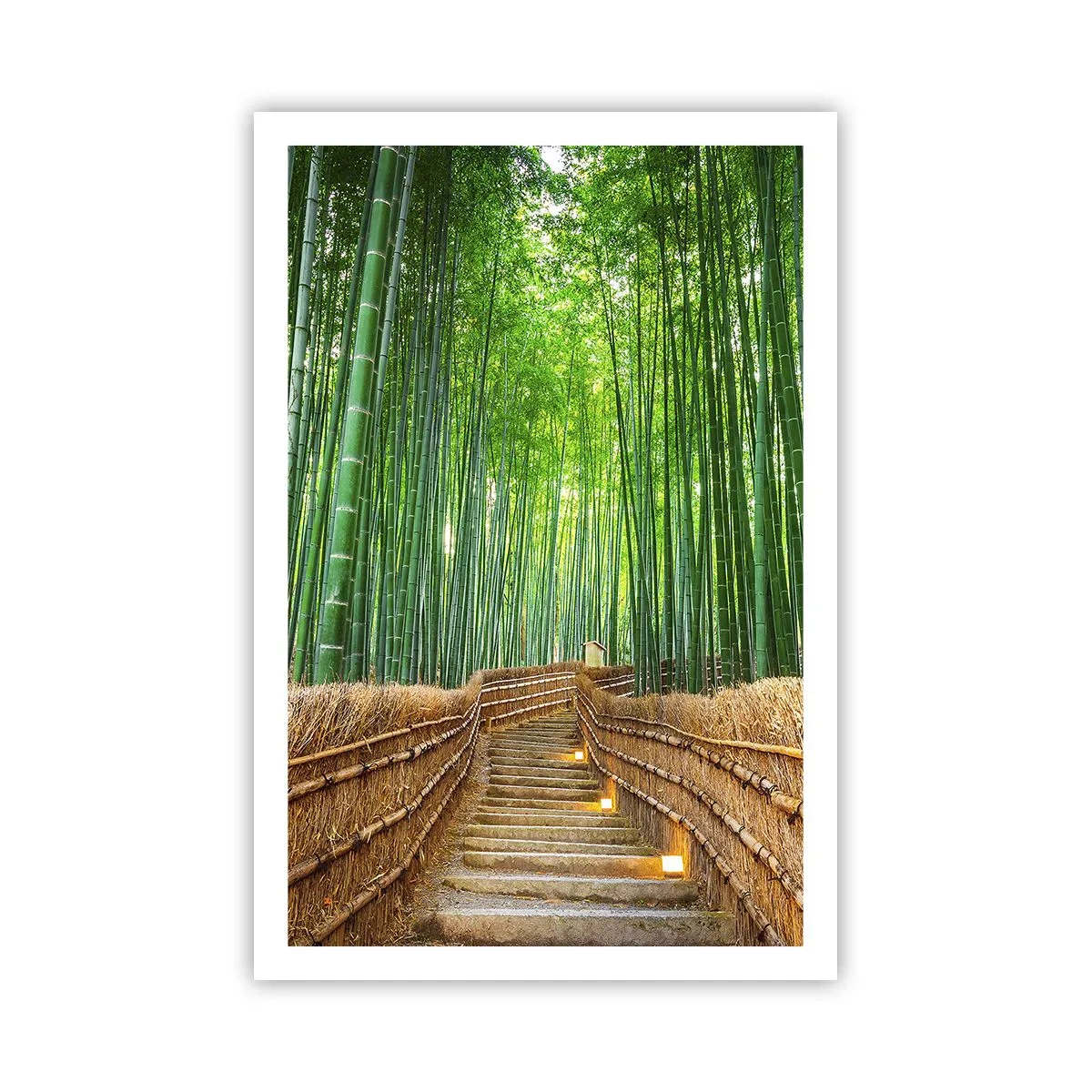 Poster - Die Essenz der asiatischen Natur - 61x91 cm