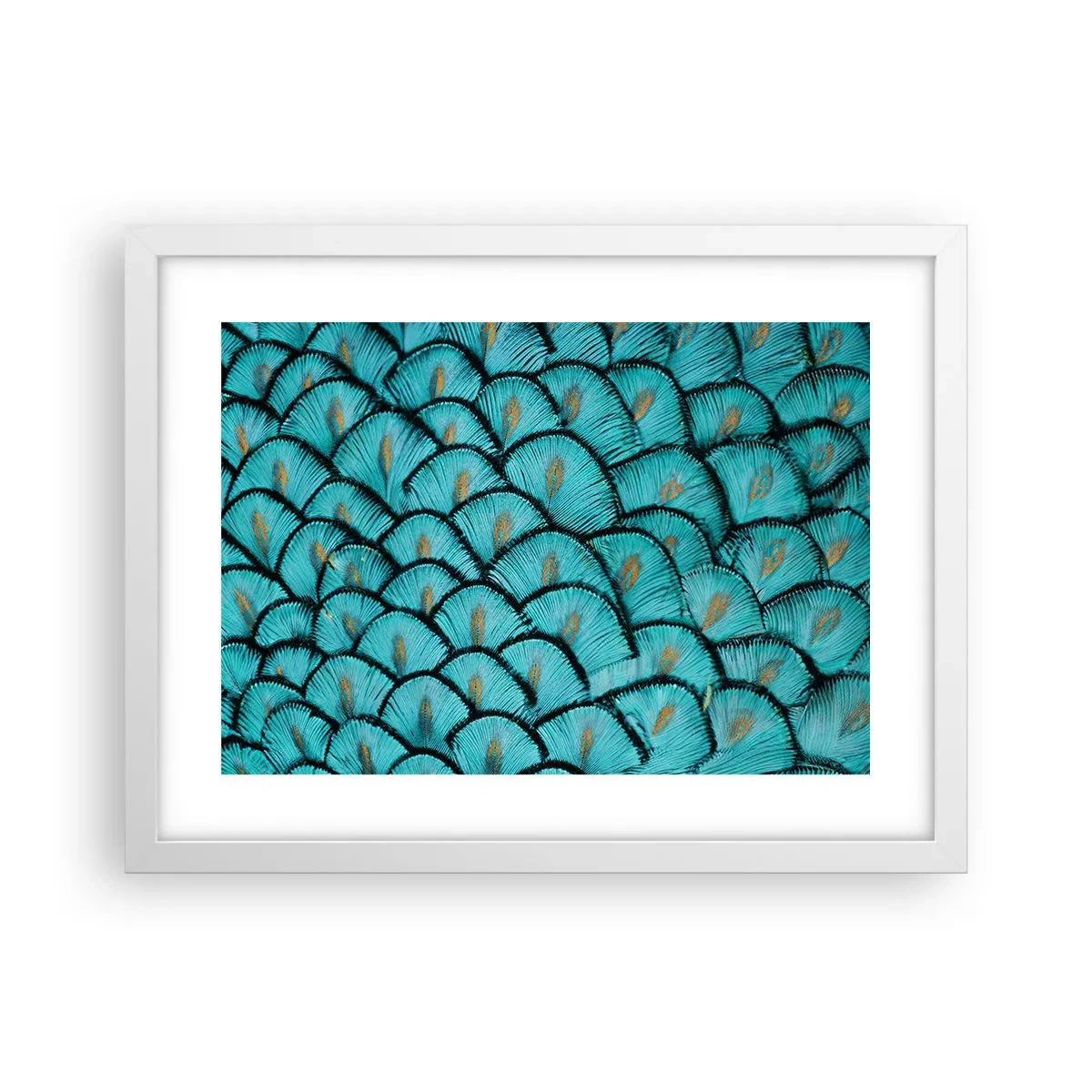 Poster in einem weißen Rahmen - Große Federgala - 40x30 cm