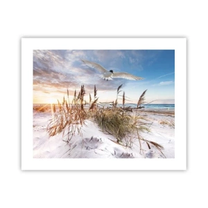 Poster - Wind vom Meer - 50x40 cm