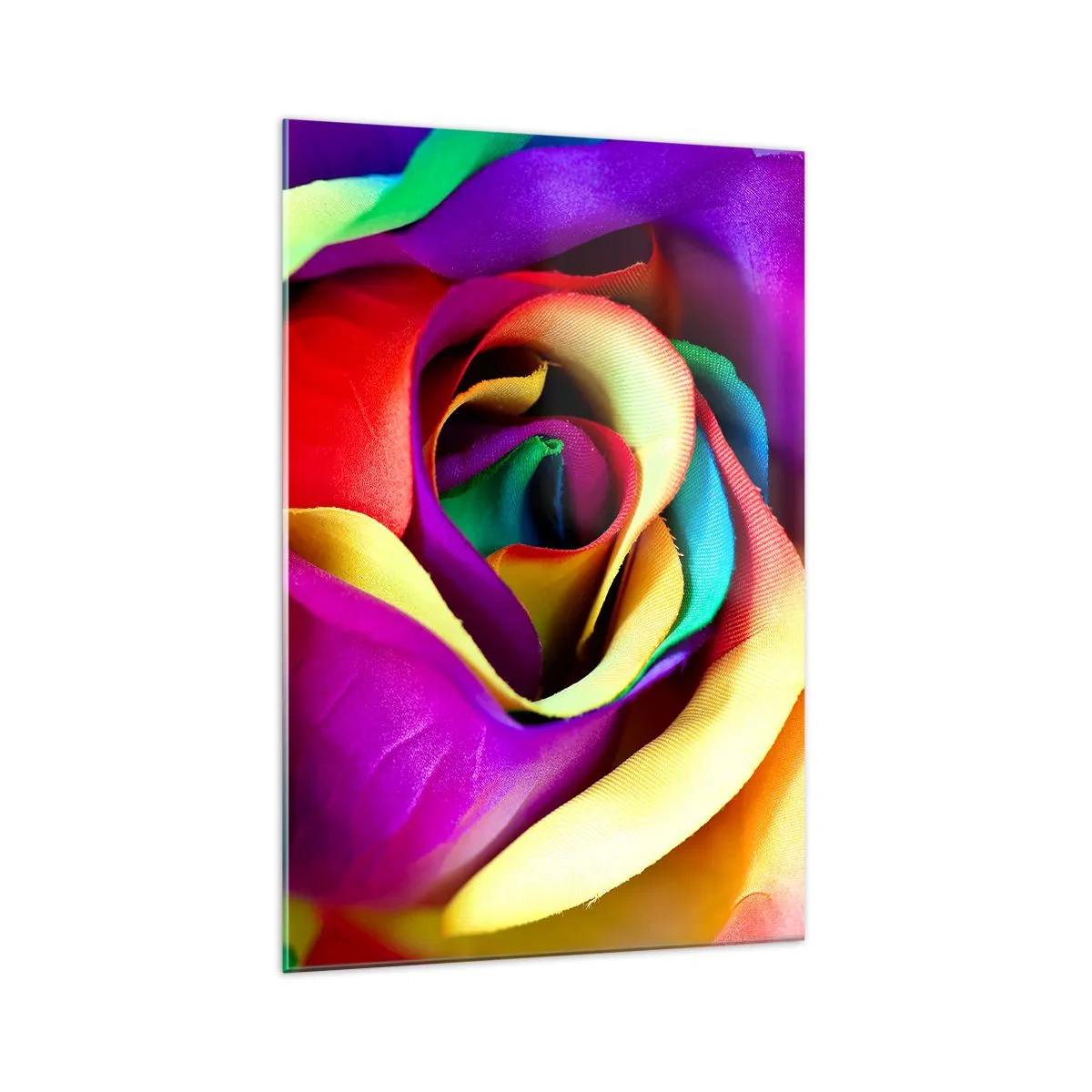 Glasbild - Bild auf glas - Eine bunte Rose in Regenbogenfarben - 70x100cm - Es ist unmöglich - Moderne Wanddekoration für Wohnzimmer und Schlafzimmer ARTTOR