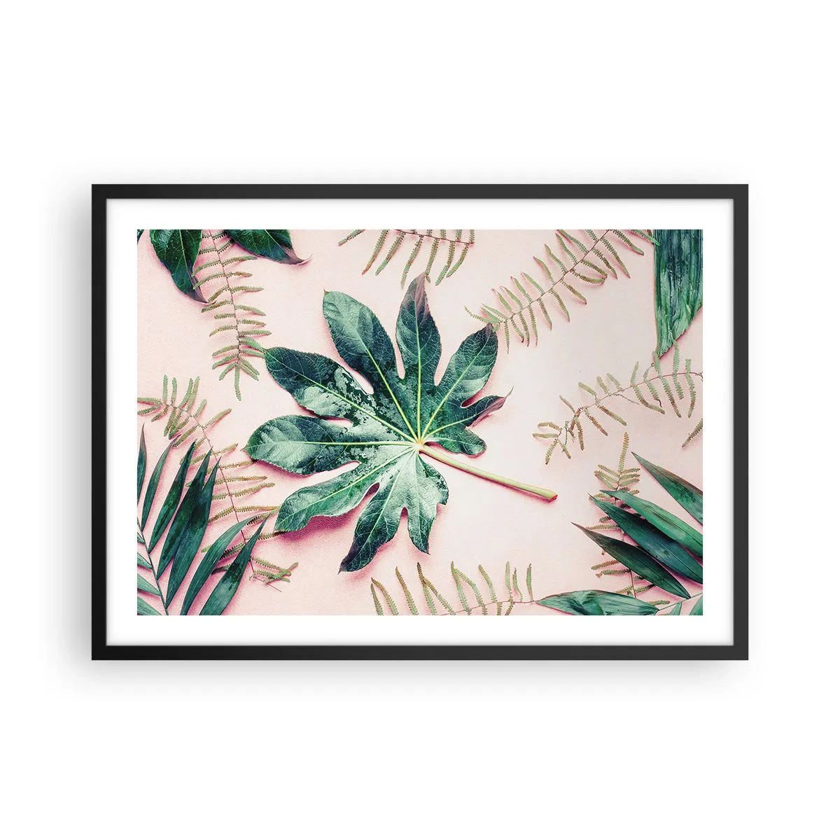Poster in einem schwarzem Rahmen - Tropische Blätter auf hellem Pastellhintergrund - 70x50cm - Eine Studie von Grün auf einem rosa Hintergrund - Moderne Wanddekoration für Wohnzimmer und Schlafzimmer ARTTOR