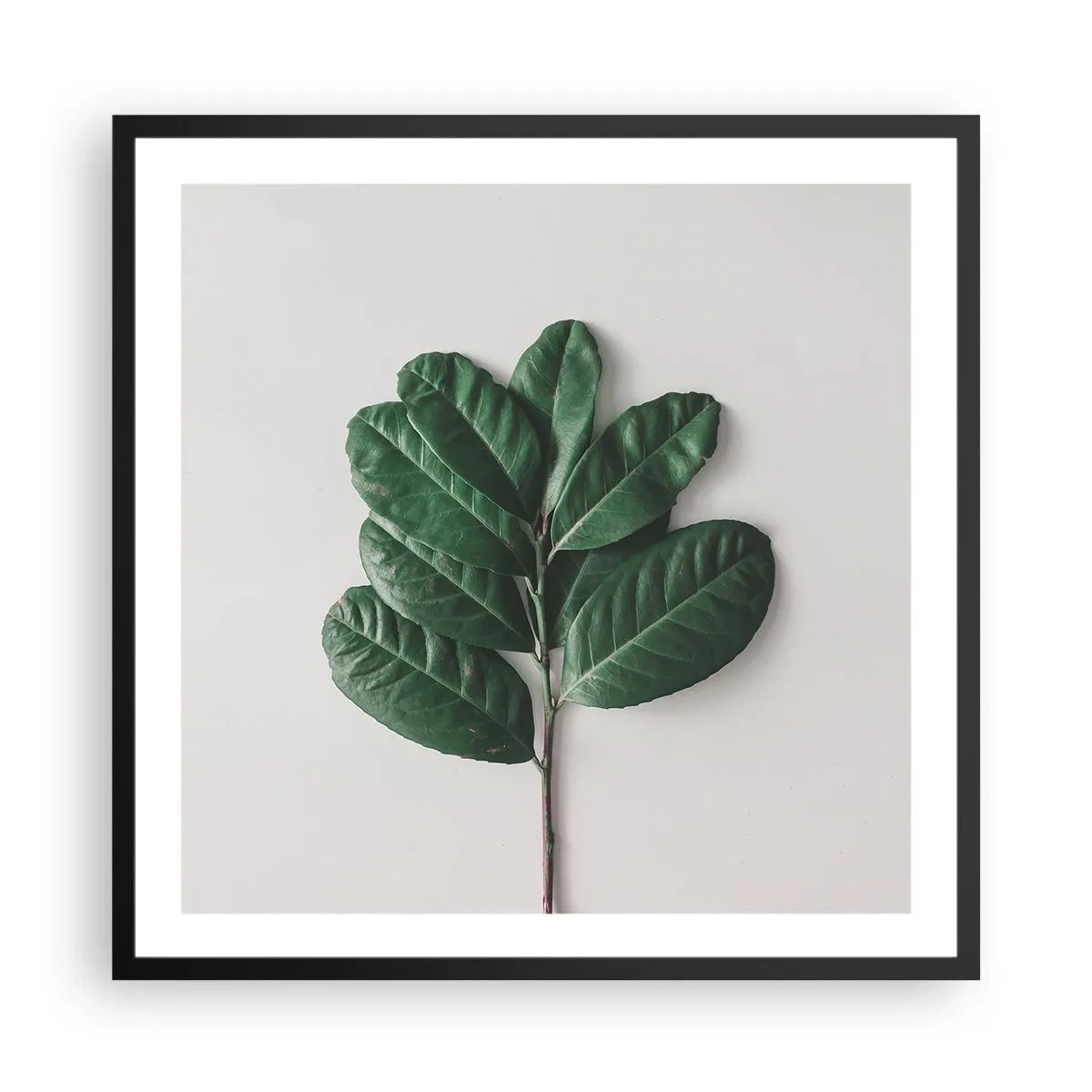 Poster in einem schwarzem Rahmen - Eine Zeichnung purer Natur - 60x60 cm