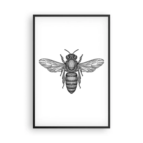 Poster in einem schwarzem Rahmen - Insektenporträt - 61x91 cm