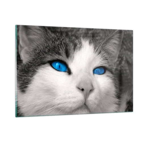 Glasbild - Bild auf glas - Ein Schwarzweißfoto einer Katze mit intensiv blauen Augen. - 120x80cm - Ungewöhnlich blauäugig - Moderne Wanddekoration für Wohnzimmer und Schlafzimmer ARTTOR