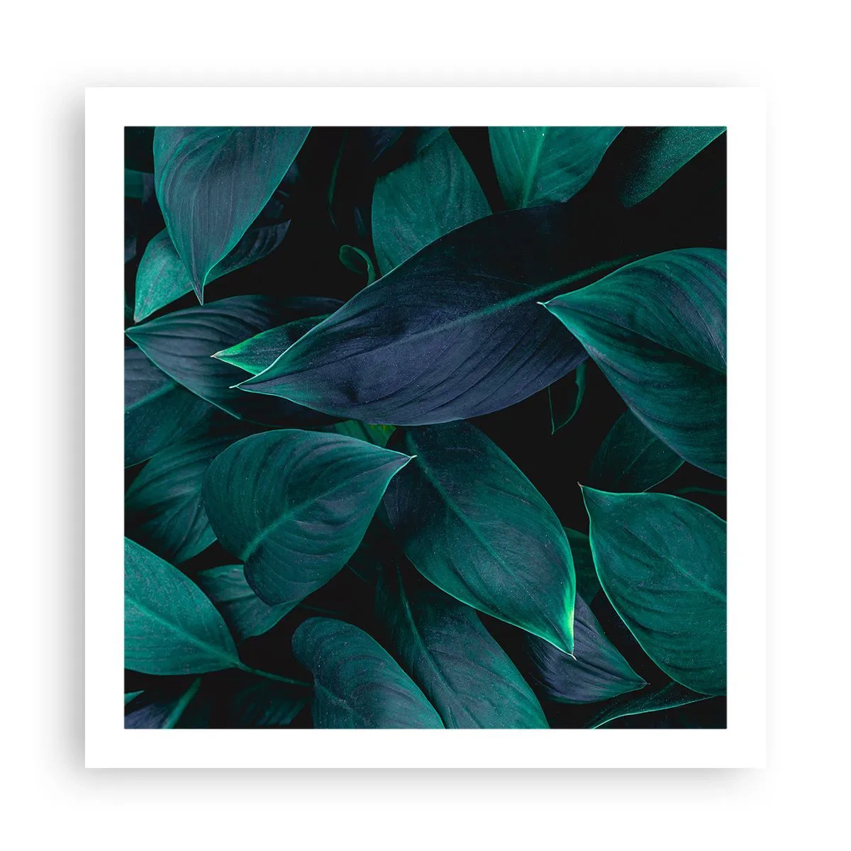 Poster - Grün in sich selbst - 60x60 cm