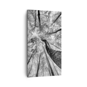 Bild auf Leinwand - Leinwandbild - Rennen zum Licht - 45x80 cm