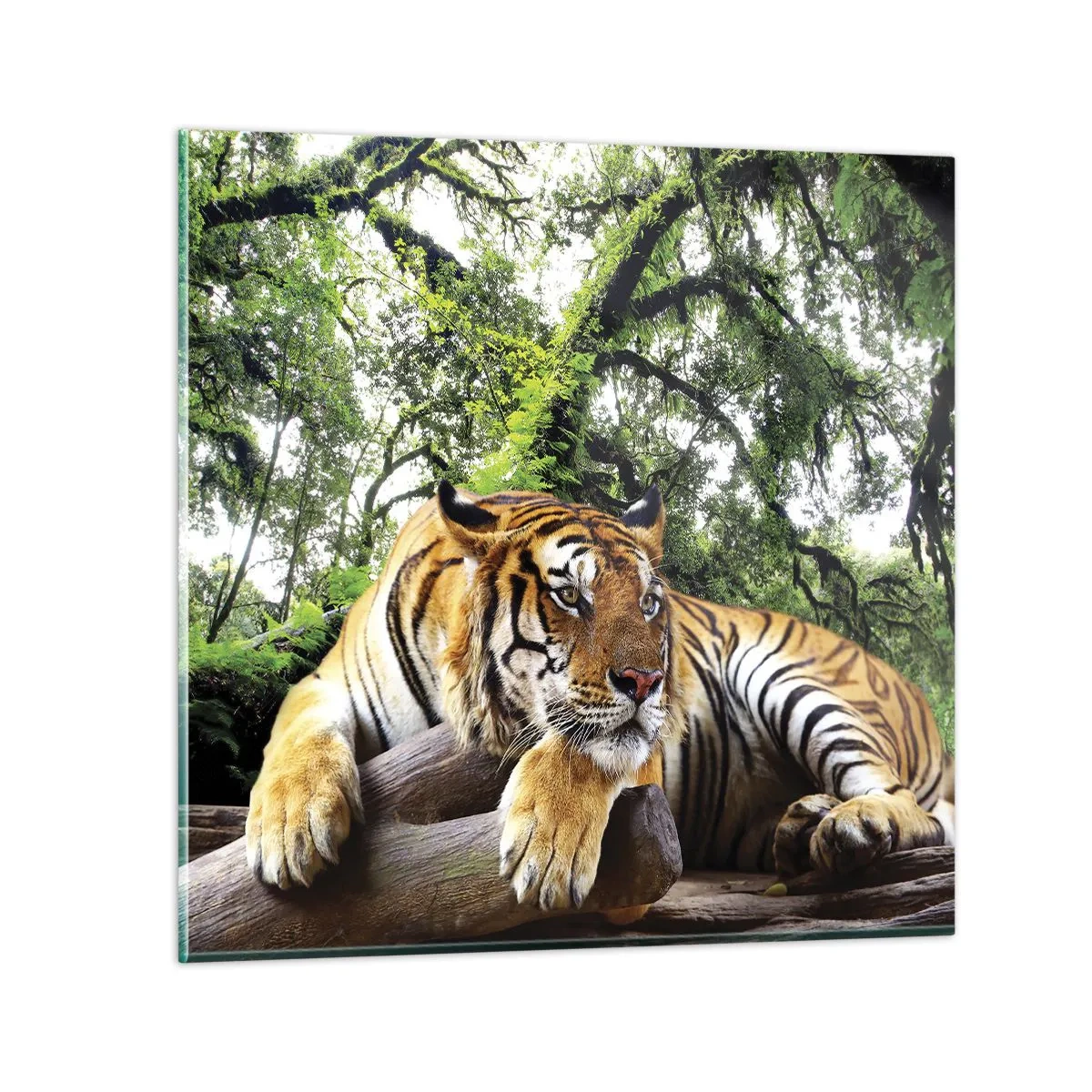 Glasbild - Bild auf glas - Hochachtungsvoll - 50x50 cm