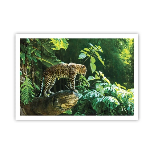 Poster - Ein Leopard steht auf einem Felsen, umgeben von tropischer Vegetation - 100x70cm - Auf die Jagd? - Moderne Wanddekoration für Wohnzimmer und Schlafzimmer ARTTOR