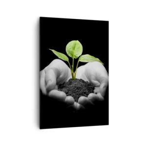 Bild auf Leinwand - Leinwandbild - Hände halten eine grüne Pflanze auf schwarzem Hintergrund - 70x100cm - Ich liebe die Natur, ich beschütze sie - Moderne Wanddekoration für Wohnzimmer und Schlafzimmer ARTTOR