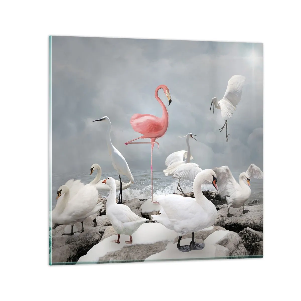 Glasbild - Bild auf glas - Wie kam ich hier hin? - 70x70 cm