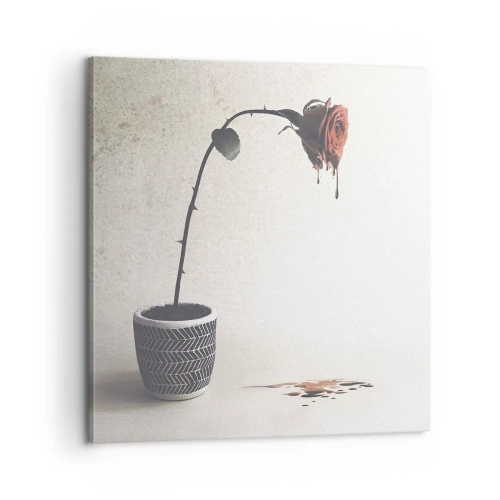 Bild auf Leinwand - Leinwandbild - Rosa dolorosa - 60x60 cm