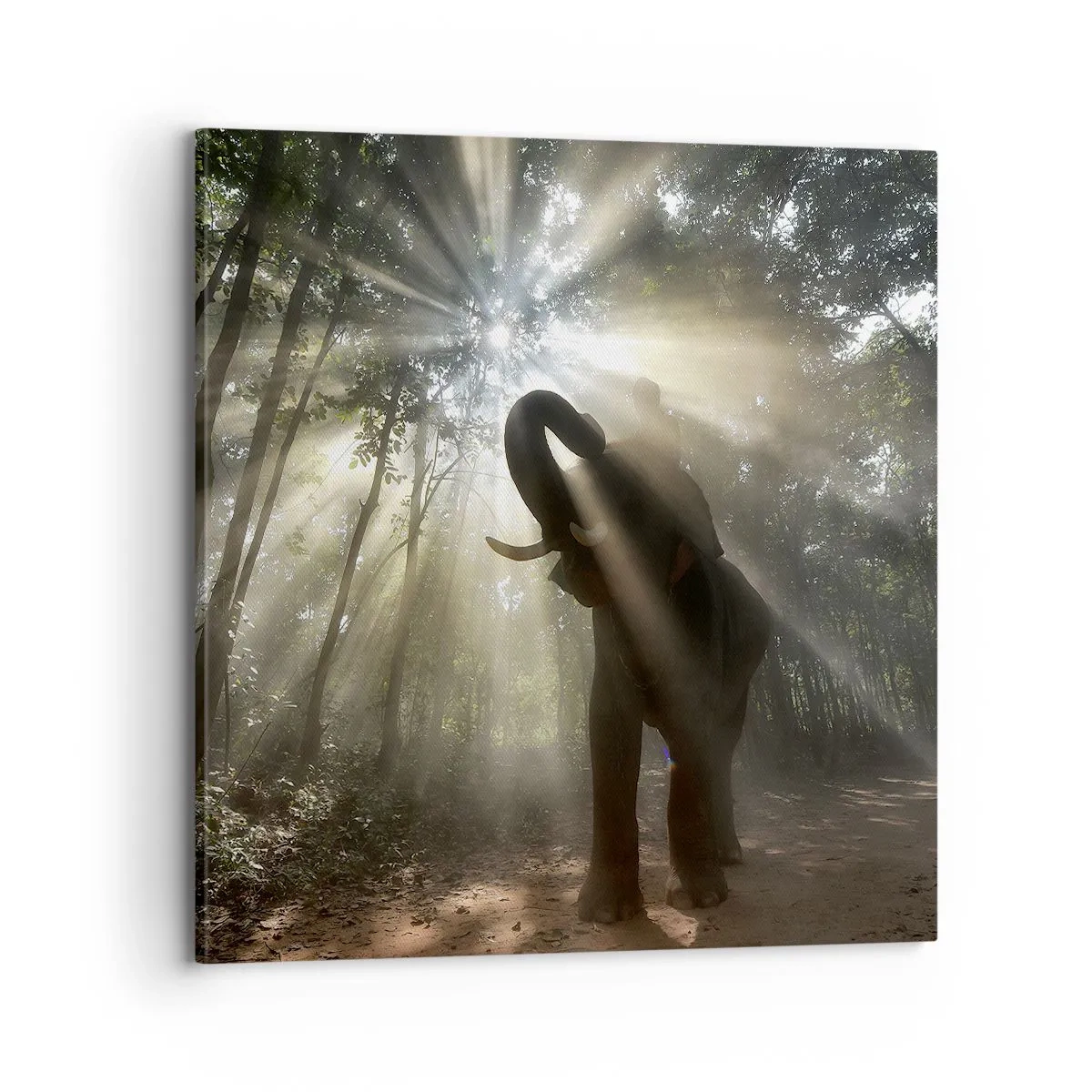 Bild auf Leinwand - Leinwandbild - Unter dem Glücksstern - 70x70 cm