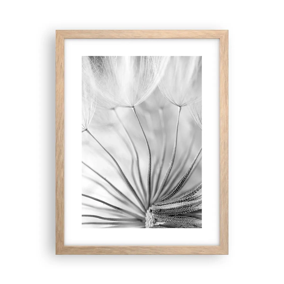 Poster in einem Rahmen aus heller Eiche - Löwenzahn, Drachen - 30x40 cm