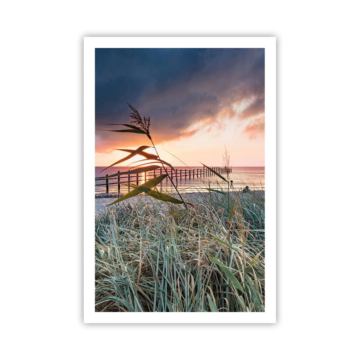 Poster - Es vergeht nicht mit dem Wind - 61x91 cm