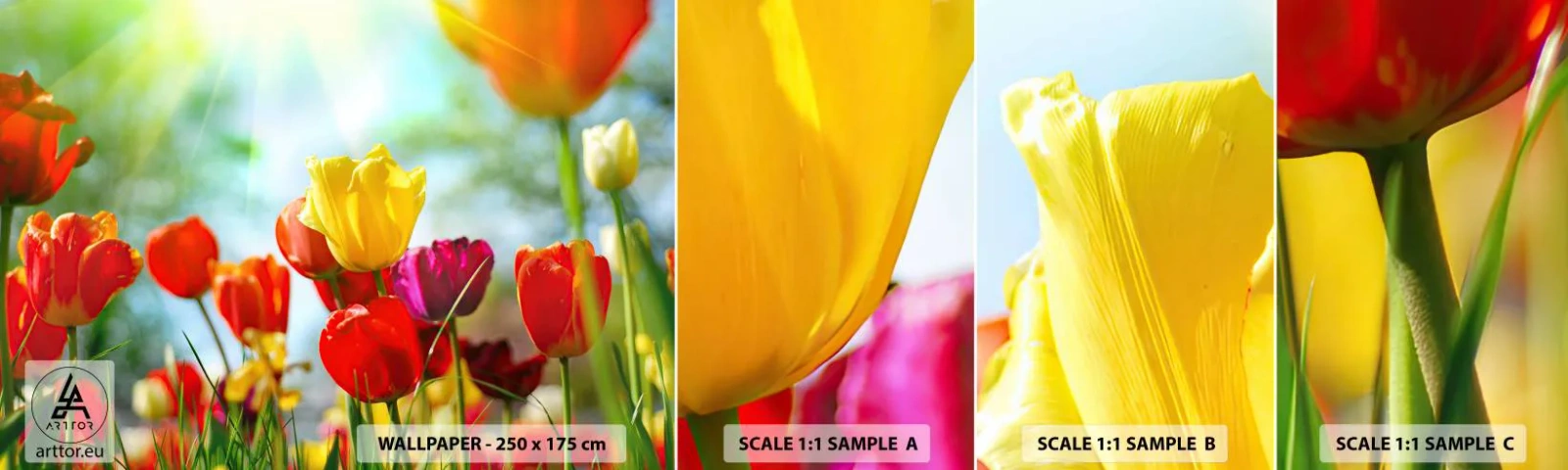 Fototapetenmuster Standard Eco - Alle Farben der Sonne - Tulpen, Blumen, Wiese - 100x30 cm