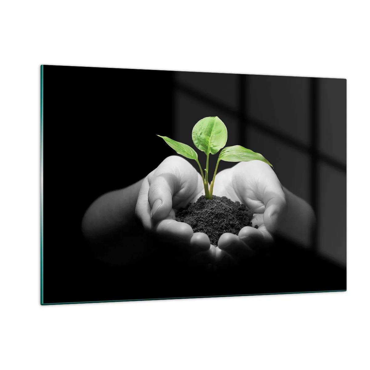 Glasbild - Bild auf glas - Eine junge Pflanze in den Händen vor schwarzem Hintergrund - 120x80cm - Ich liebe die Natur, ich beschütze sie - Moderne Wanddekoration für Wohnzimmer und Schlafzimmer ARTTOR