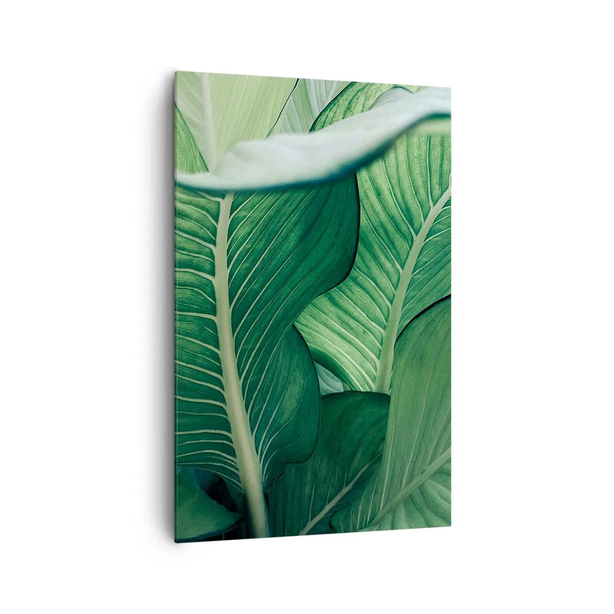 Bild auf Leinwand - Leinwandbild - Grüne Blätter mit ausdrucksstarken Details und Struktur - 80x120cm - Intensiv grünes Leben - Moderne Wanddekoration für Wohnzimmer und Schlafzimmer ARTTOR