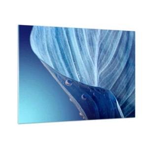 Glasbild - Bild auf glas - Ein Blatt in Blautönen mit Wassertropfen auf einem Hintergrund mit Farbverlauf. - 70x50cm - Versteckte Tropfen vom Blau - Moderne Wanddekoration für Wohnzimmer und Schlafzimmer ARTTOR