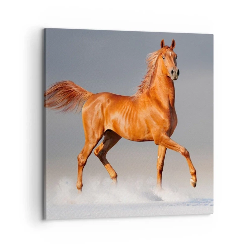 Bild auf Leinwand - Leinwandbild - Tanzende Anmut - 60x60 cm