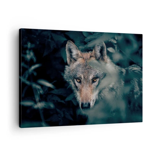 Bild auf Leinwand - Leinwandbild - Ein Wolf in seiner natürlichen Umgebung, der aus den Tiefen des Waldes hervorschaut. - 70x50cm - Jäger - Moderne Wanddekoration für Wohnzimmer und Schlafzimmer ARTTOR