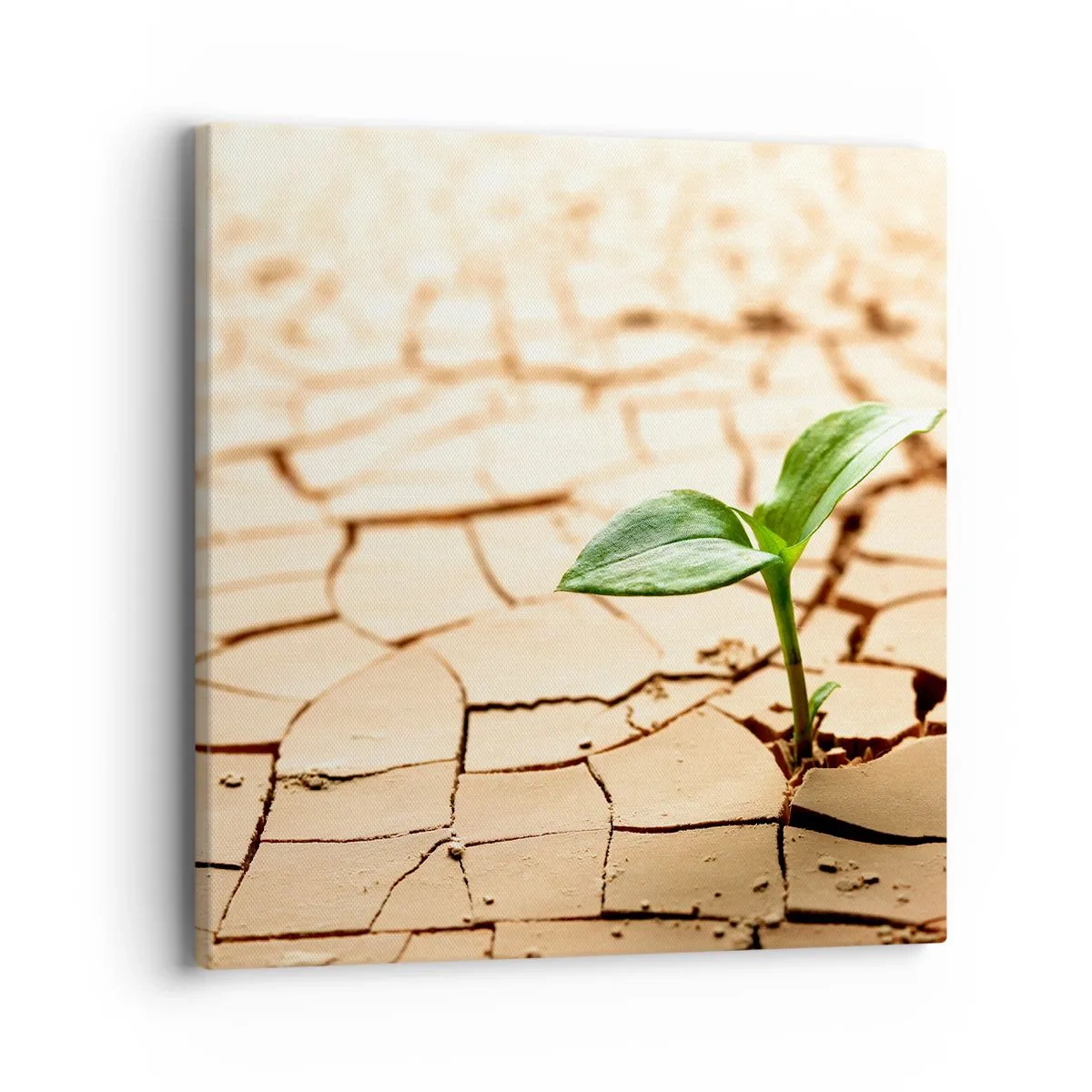 Bild auf Leinwand - Leinwandbild - Die unbezähmbare Kraft des Lebens - 40x40 cm
