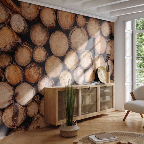 Fototapete Premium Sand - Ein neuer Anfang - Holz, Holzstämme, Natur - 350x256 cm