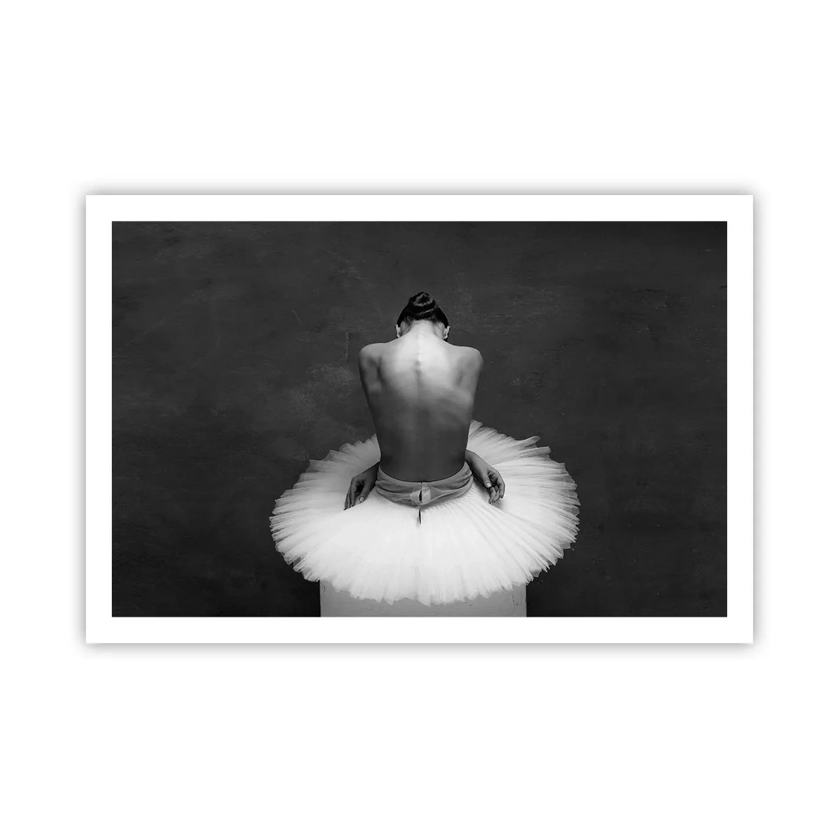 Poster - Es blüht gerade - 91x61 cm