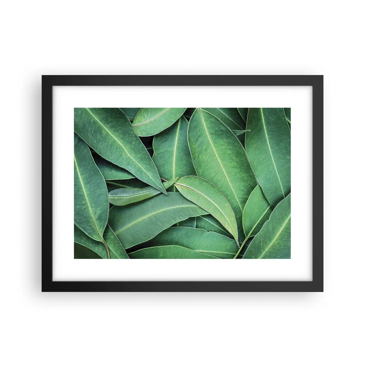 Poster in einem schwarzem Rahmen - Saftig und frisch - 40x30 cm