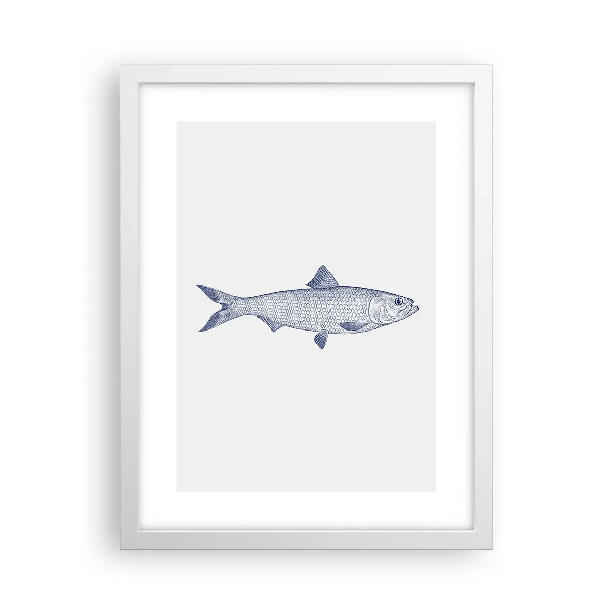 Poster in einem weißen Rahmen - Grüße aus den nördlichen Meeren - 30x40 cm