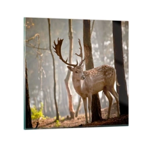 Glasbild - Bild auf glas - Das Licht der Jugend - 30x30 cm