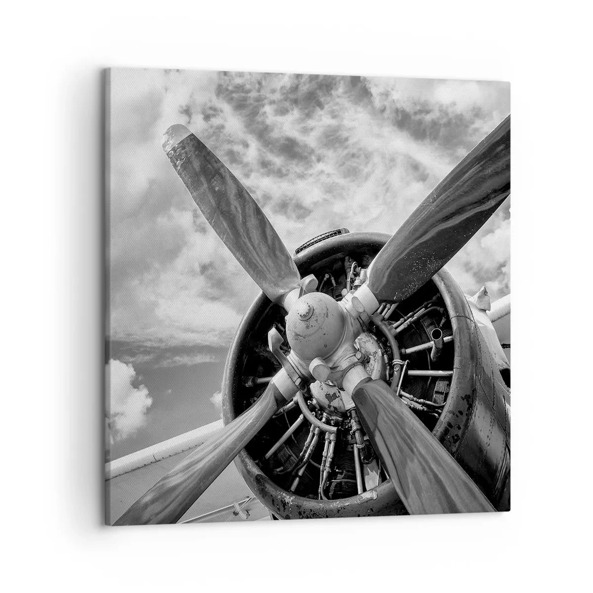 Bild auf Leinwand - Leinwandbild - Eroberer der Lüfte - 50x50 cm