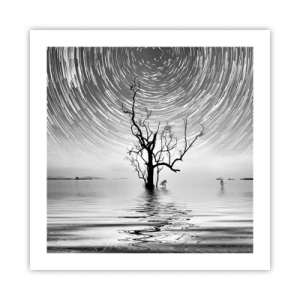 Poster - Eine Sinfonie der Natur - 50x50 cm