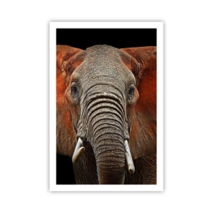 Poster - Ich bin wild und du? - 61x91 cm