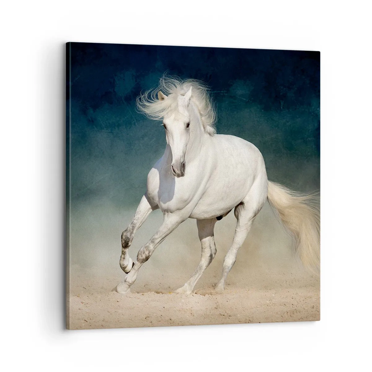 Bild auf Leinwand - Leinwandbild - Freiheit in ihrem reinen Zustand - 60x60 cm