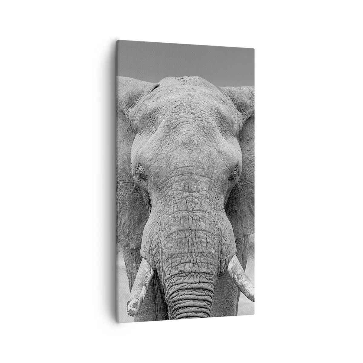 Bild auf Leinwand - Leinwandbild - Willkommen in meiner Welt - 55x100 cm