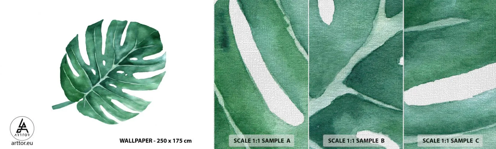 Fototapeten Muster Premium Canvas - Grünes Konzept - Monstera, Blatt, Boho - 100x30 cm