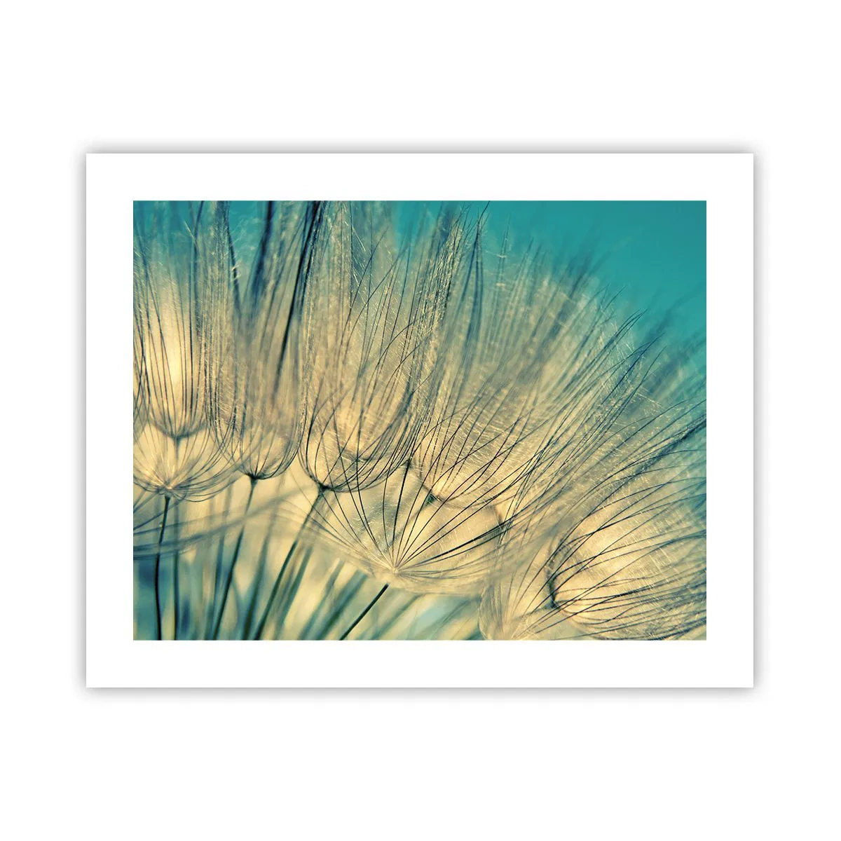 Poster - In Erwartung des Windes - 50x40 cm