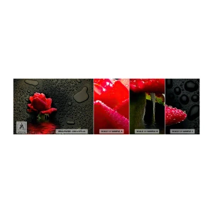 Fototapetenmuster Standard Eco - rot und Schwarz - Blumen, Rose, Wasser - 100x30 cm