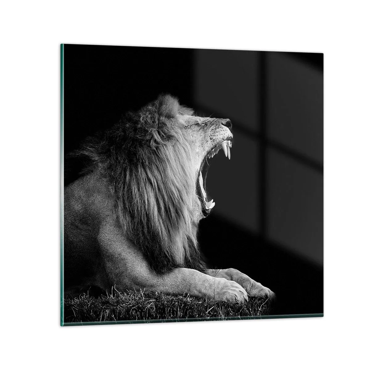 Glasbild - Bild auf glas - Ohne Zweifel - 60x60 cm