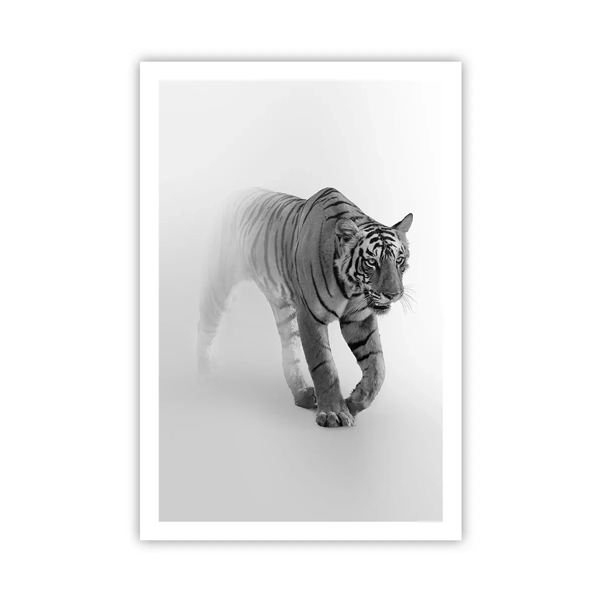 Poster - Im Nebel gelauert - 61x91 cm